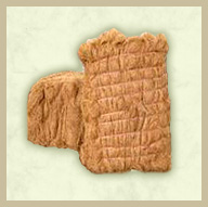 Coir Fiber Bales