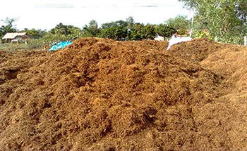 Raw Materials